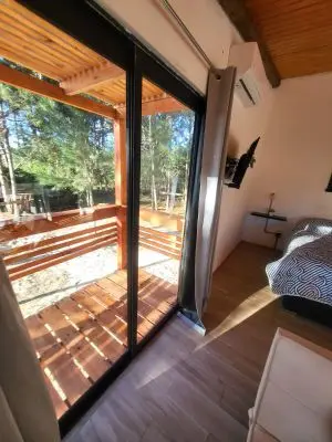 Lobos del Bosque - Punta del Diablo