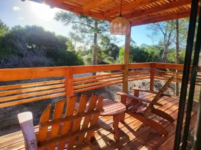 Lobos del Bosque - Punta del Diablo