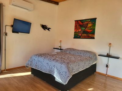 Lobos del Bosque - Punta del Diablo