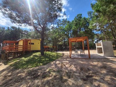 Lobos del Bosque - Punta del Diablo