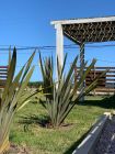 Villa Sabai Casas de Playa  La Paloma