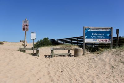 Chihuahua - Maldonado