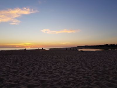 Chihuahua - Maldonado