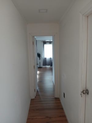 la viuda y el mar  - Punta del Diablo