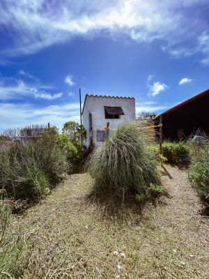 Casa Casa de las Ranas Cabo Polonio