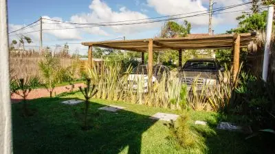 Serena en anaconda - la paloma