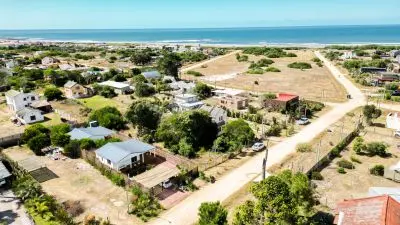 Serena en anaconda - la paloma