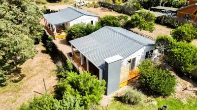 Serena en anaconda - la paloma