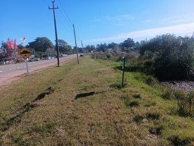 Lotes Manz 49 s 13 Punta del Diablo