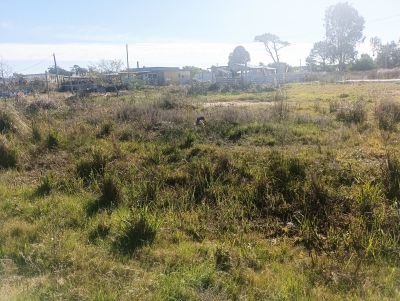 Lotes Manz 49 s 13 Punta del Diablo