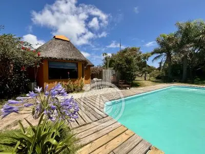 Coco Loco Lodge - Piña Colada