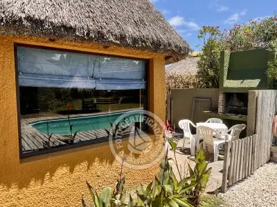 Cabana Coco Loco Lodge - Piña Colada La Paloma