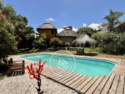 Cabana Coco Loco Lodge - Piña Colada La Paloma