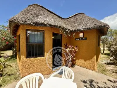 Cabana Coco Loco Lodge - Piña Colada La Paloma