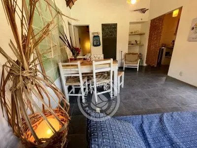 Cabana Coco Loco Lodge - Piña Colada La Paloma