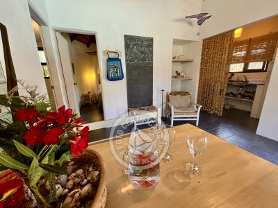 Cabaña Coco Loco Lodge - Piña Colada La Paloma