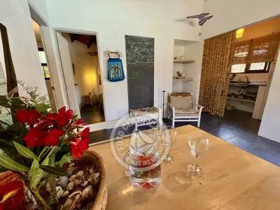 Cabana Coco Loco Lodge - Piña Colada La Paloma