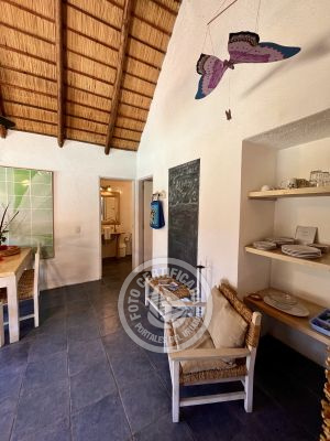 Cabaña Coco Loco Lodge - Piña Colada La Paloma