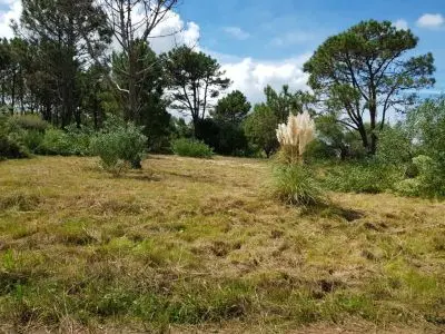 Venta Muy Lindo Terreno En Punta Del Diablo