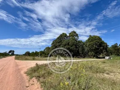 Terrenos en zona bosque de la viuda