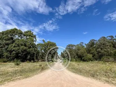 Terrenos zona Bosque de la Viuda