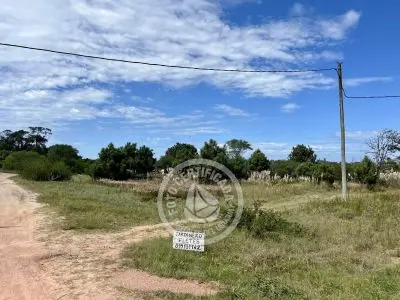 Terrenos zona Bosque de la Viuda