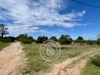 Terrenos zona Bosque de la Viuda