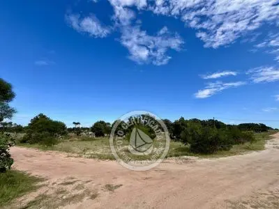 Terrenos zona Bosque de la Viuda