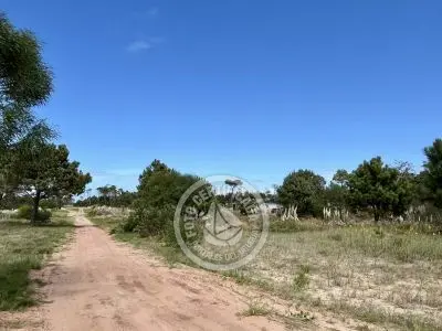 Terrenos zona Bosque de la Viuda