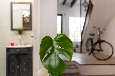 House Casa en Casco Historico con vista al Rio Colonia del Sacramento