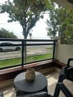 Apartamento Apto con Piscina, GYM y terraza sobre Rambla, Vista al Rio Colonia