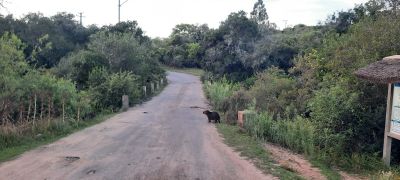 Casa Casa Villa Serrana Villa Serrana