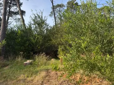 Terrenos en venta (PADRON 57412/57413- MZA 580)