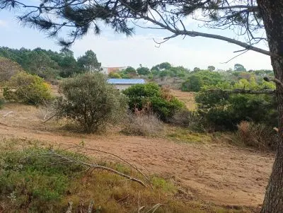 Lots Manz 88 s.26 Punta del Diablo