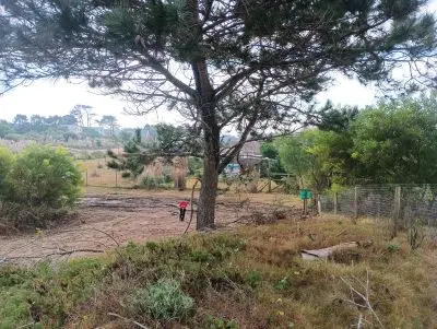 Lots Manz 88 s.26 Punta del Diablo