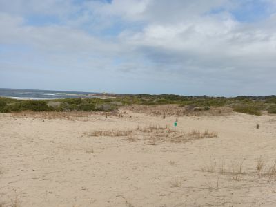 Lots Manz 245 s.8 zona la viuda frente al mar  Punta del Diablo
