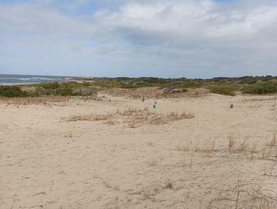 Lots Manz 245 s.8 zona la viuda frente al mar  Punta del Diablo