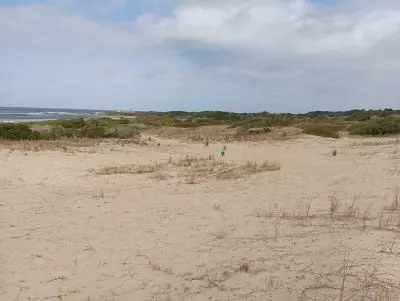 Lots Manz 245 s.8 zona la viuda frente al mar  Punta del Diablo