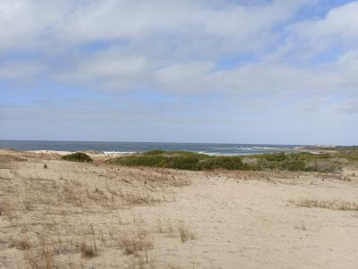 Lots Manz 245 s.8 zona la viuda frente al mar  Punta del Diablo