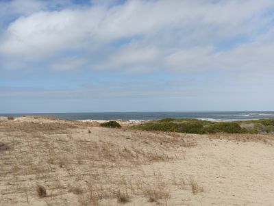 Lots Manz 245 s.8 zona la viuda frente al mar  Punta del Diablo