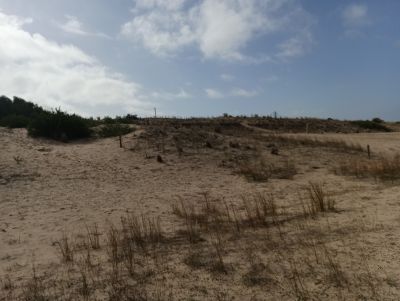 Lots Manz 245 s.8 zona la viuda frente al mar  Punta del Diablo