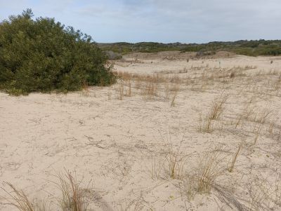 Lots Manz 245 s.8 zona la viuda frente al mar  Punta del Diablo