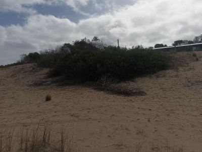Lots Manz 245 s.8 zona la viuda frente al mar  Punta del Diablo