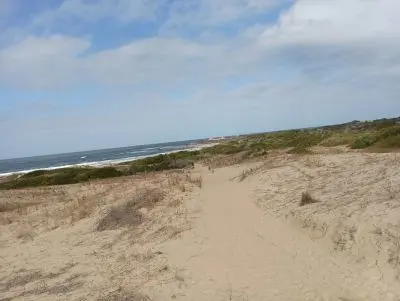 Lots Manz 245 s.8 zona la viuda frente al mar  Punta del Diablo