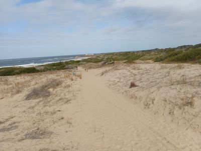 Lots Manz 245 s.8 zona la viuda frente al mar  Punta del Diablo