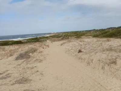 Lots Manz 245 s.8 zona la viuda frente al mar  Punta del Diablo