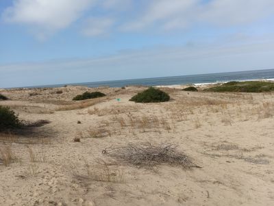 Lots Manz 245 s.8 zona la viuda frente al mar  Punta del Diablo