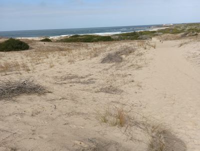 Lots Manz 245 s.8 zona la viuda frente al mar  Punta del Diablo