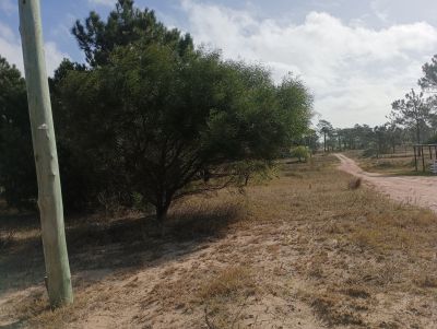 Lots Manz 221 s. 9 zona la viuda, rodeado de  bosque de pinos !!! Punta del Diablo