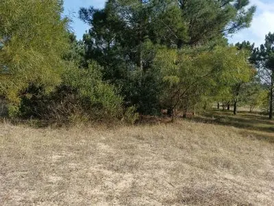 Lotes Manz 221 s. 9 zona la viuda, rodeado de  bosque de pinos !!! Punta del Diablo